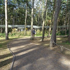 General View of Lemur Woods at Yorkshire Wildlife Park