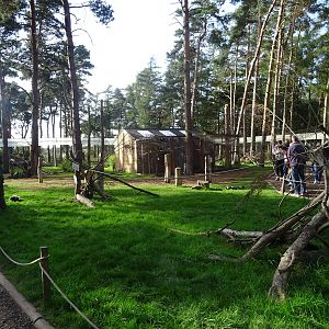 General View of Lemur Woods at Yorkshire Wildlife Park