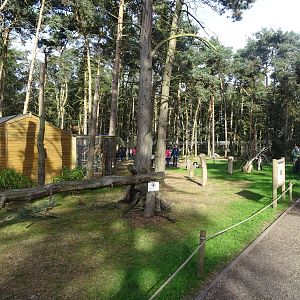 General View of Lemur Woods at Yorkshire Wildlife Park