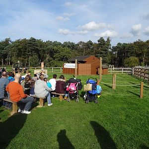 Animal Action Theatre at Yorkshire Wildlife Park
