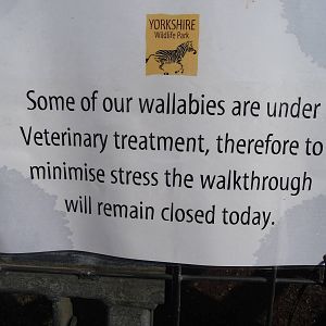 Wallaby Walkabout Sign