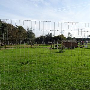 Wallaby Walkabout at Yorkshire Wildlife Park