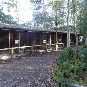 Bird of Prey Aviaries at Yorkshire Wildlife Park