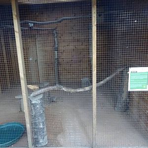 Barn Owl Aviary at Yorkshire Wildlife Park