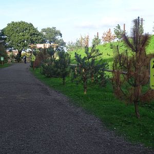 Approaching Project Polar at Yorkshire Wildlife Park