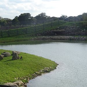 Polar Bear Exhibit at Yorkshire Wildlife Park