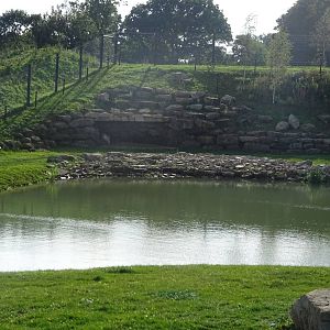 Polar Bear Exhibit at Yorkshire Wildlife Park
