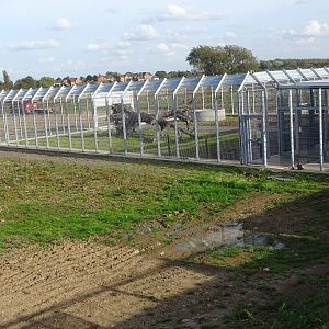 Polar Bear Holding Area at Yorkshire Wildlife Park
