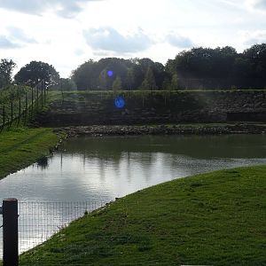 Polar Bear Exhibit at Yorkshire Wildlife Park