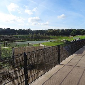 Polar Bear Exhibit at Yorkshire Wildlife Park