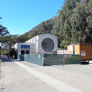 South American Tropical Forest Renovation
