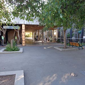 Primate Discovery Center