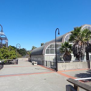 Primate Discovery Center  #1