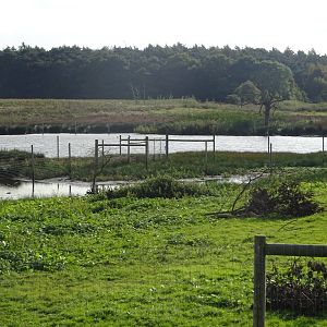 Wetlands at Yorkshire Wildlife Park