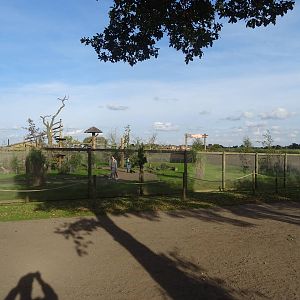 South America Viva at Yorkshire Wildlife Park