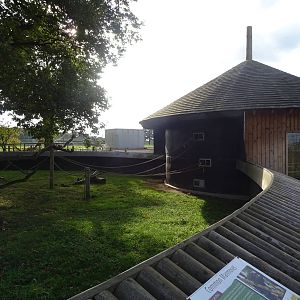 Common Marmoset Exhibit at Yorkshire Wildlife Park