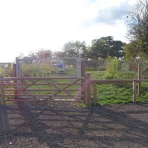 Giant Anteater Exhibit at Yorkshire Wildlife Park