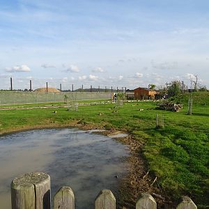 General View of South America Viva at Yorkshire Wildlife Park