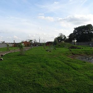 General View of South America Viva at Yorkshire Wildlife Park