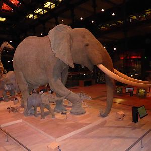 Paris - Grand Gallery of Evolution , Jardin des Plantes