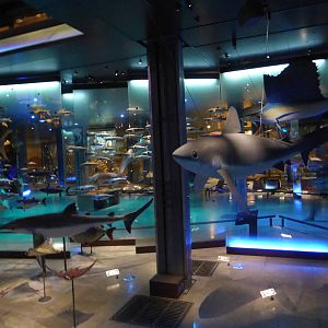 Paris , Grand Gallery of Evolution , Jardin des Plantes