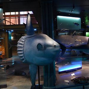 Paris , Grand Gallery of Evolution , Jardin des Plantes