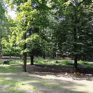 Vietnamese Sika Deer enclosure