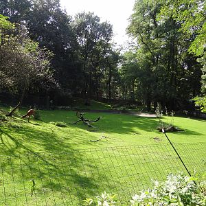 Sitatunga and Ground Hornbill enclosure