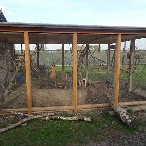 Squirrel Monkey House at Yorkshire Wildlife Park