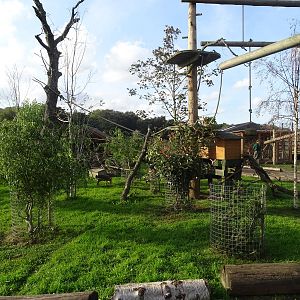 Part of the Squirrel Monkey Climbing Structure at Yorkshire Wildlife Park