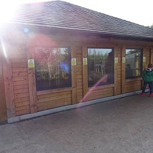 Giant Anteater House at Yorkshire Wildlife Park