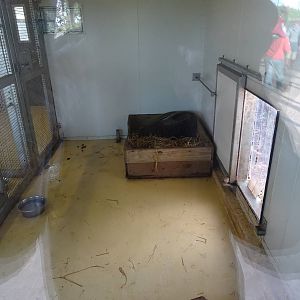 Giant Anteater House Interior at Yorkshire Wildlife Park