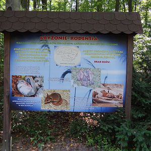 Information board about rodents