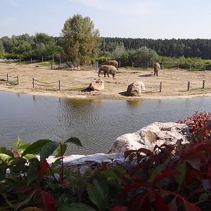 Elephant enclosure