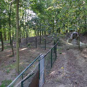 Bear enclosure (built with help of Four Paws)