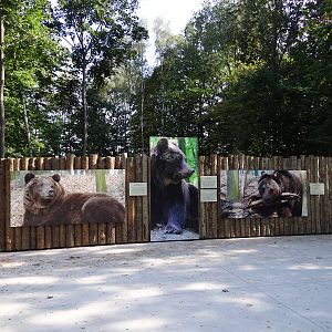 Information board about bears