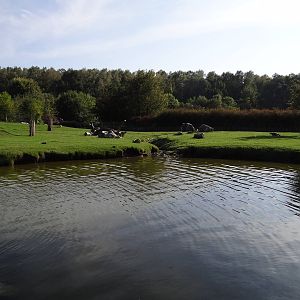 South America enclosure