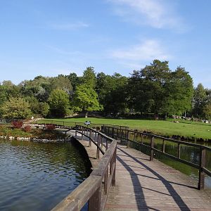 South America enclosure