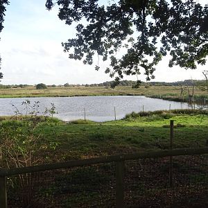 Wetlands at Yorkshire Wildlife Park