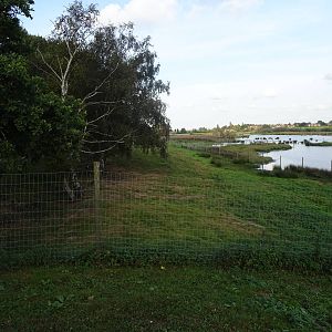 Sitatunga Exhibit at Yorkshire Wildlife Park
