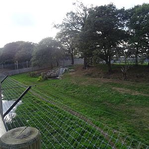 Tiger Exhibit at Yorkshire Wildlife Park
