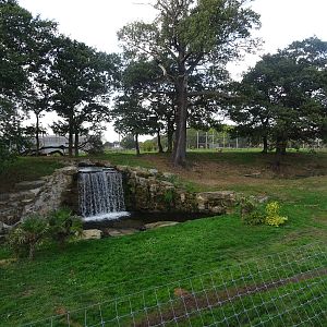 Tiger Exhibit at Yorkshire Wildlife Park