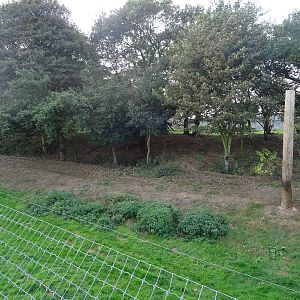 Tiger Exhibit at Yorkshire Wildlife Park