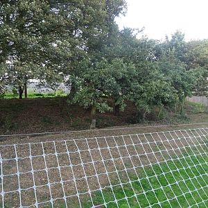 Tiger Exhibit at Yorkshire Wildlife Park
