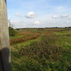 Wetlands at Yorkshire Wildlife Park