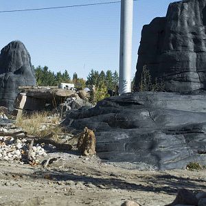 Snow Leopard Exhibit (under construction)