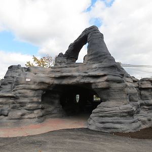 Snow Leopard viewing structure