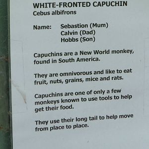 Sign on the Capuchins enclosure