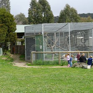 Capuchin Enclosure