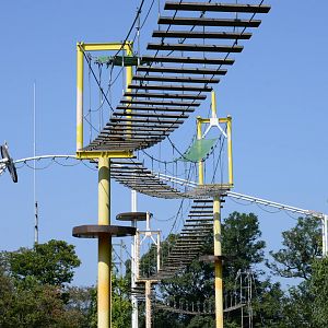 Suspension-bridge for Geoffroy's spider monkeys